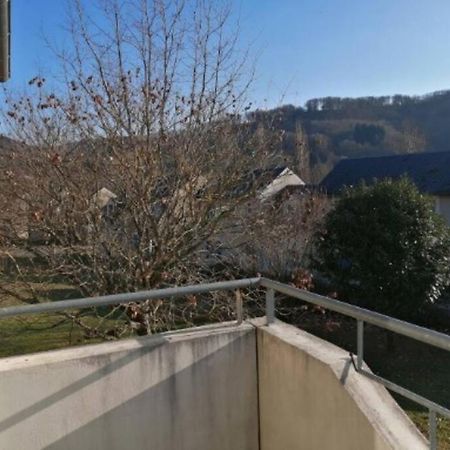 Appartement Calme Et Propre Le Goelia Saint-Geniez-dʼOlt Zewnętrze zdjęcie
