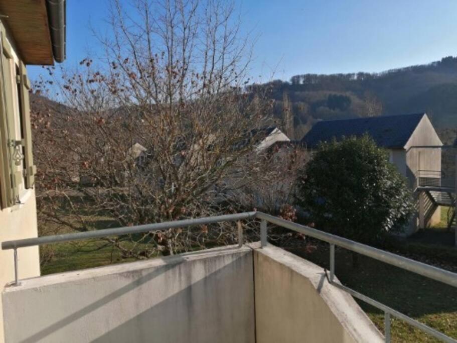Appartement Calme Et Propre Le Goelia Saint-Geniez-dʼOlt Zewnętrze zdjęcie